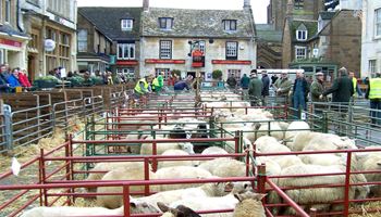 Uppingham Webcam